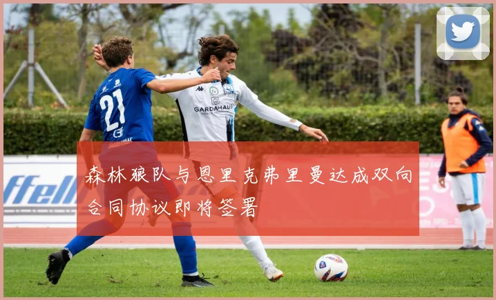 森林狼队与恩里克弗里曼达成双向合同协议即将签署